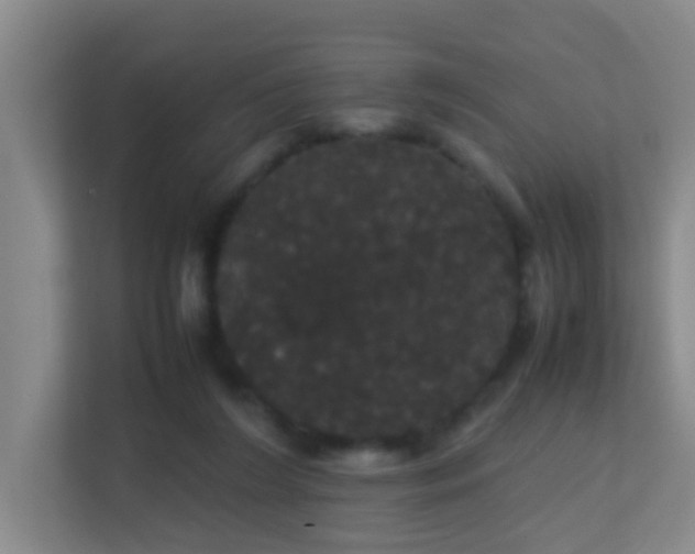 X0000113850212200909241254