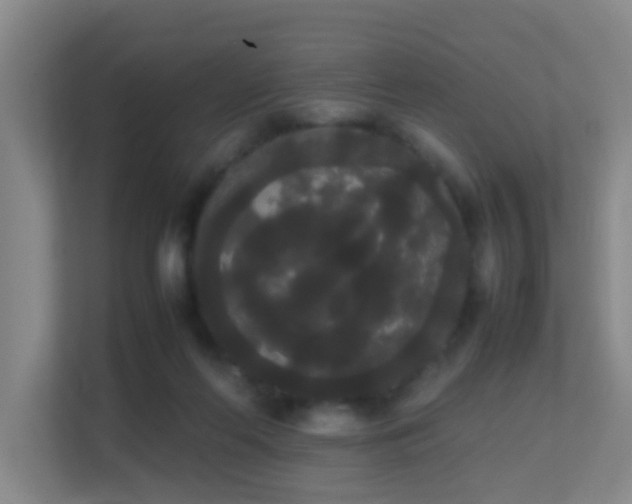 X0000113850214200909241254