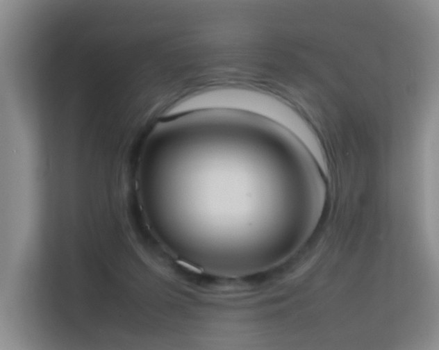 X0000113850215200909241254