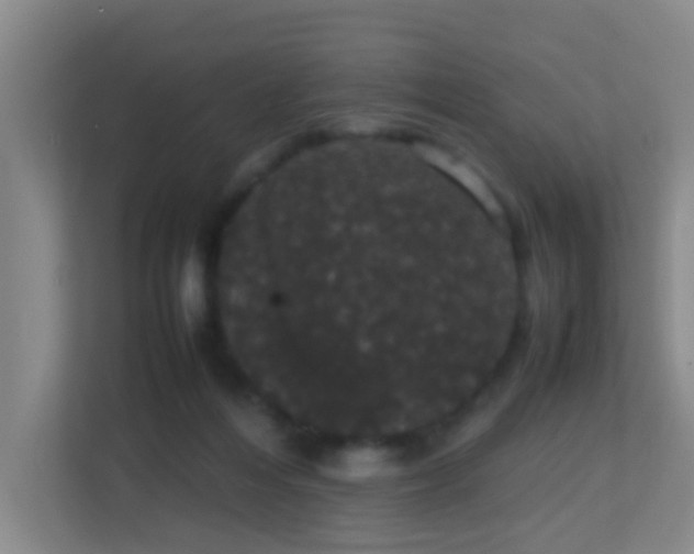 X0000113850216200909241254