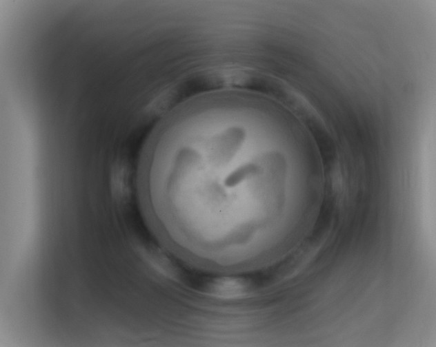 X0000113850218200909241254