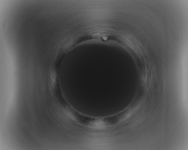 X0000113850219200909241254