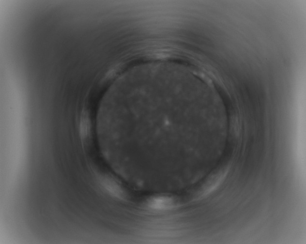 X0000113850220200909241254