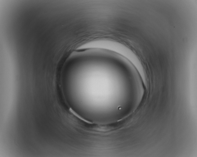 X0000113850221200909241254