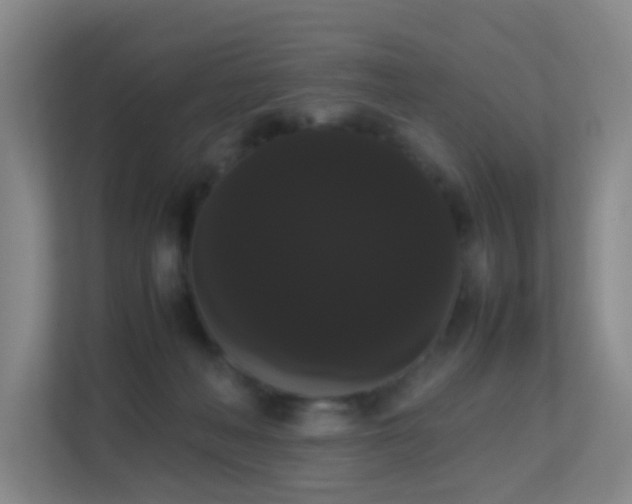 X0000113850222200909241254