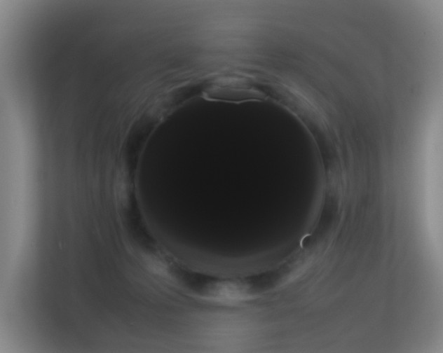 X0000113850223200909241254