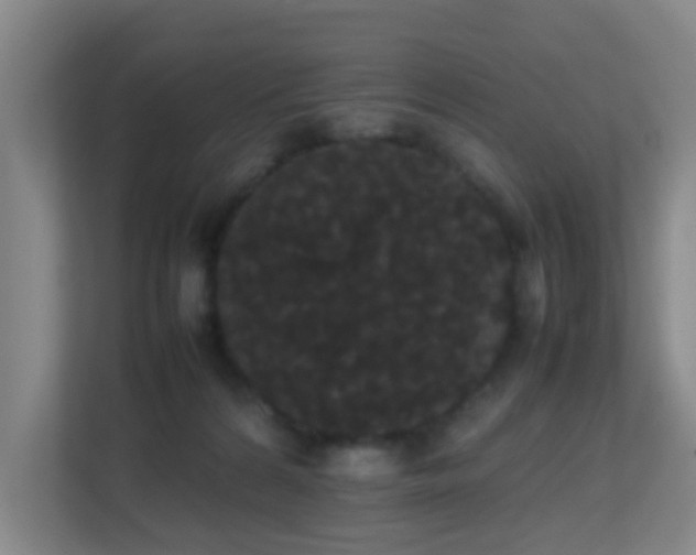 X0000113850224200909241254