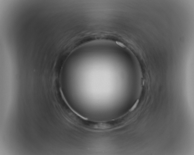 X0000113850225200909241254