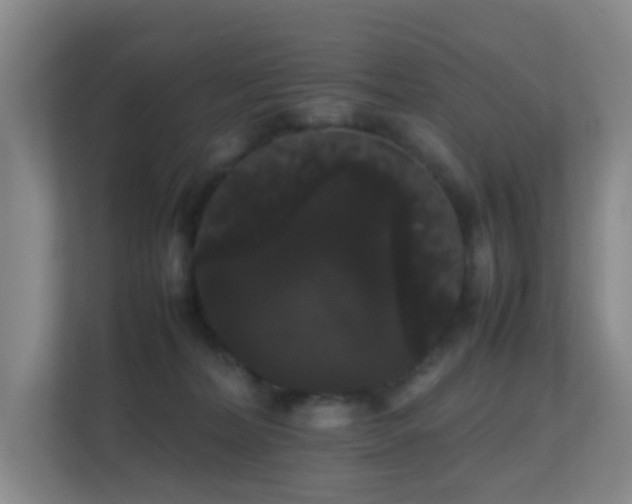 X0000113850228200909241254