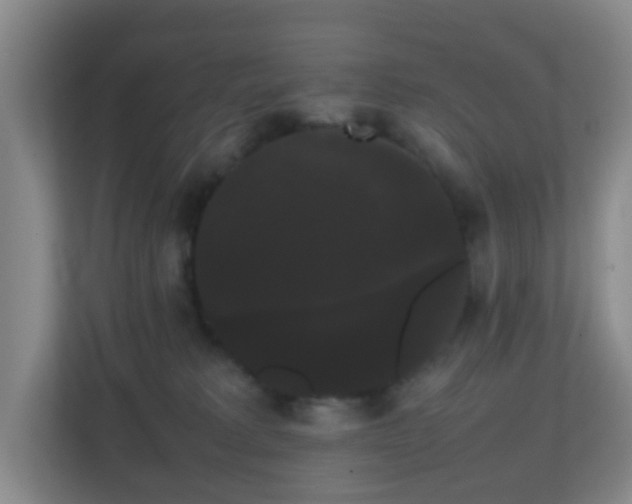 X0000113850229200909241254