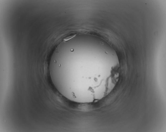 X0000113850231200909241254