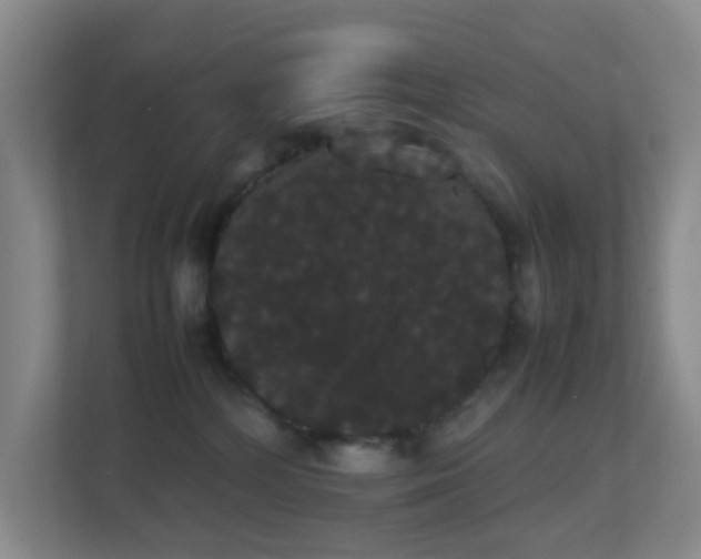 X0000113850232200909241254