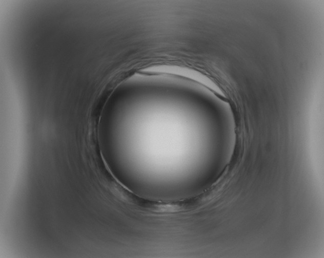 X0000113850233200909241254