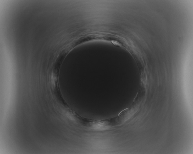 X0000113850235200909241254