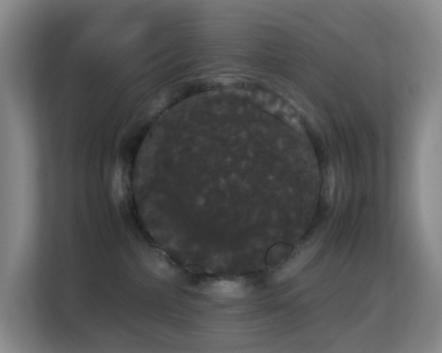 X0000113850236200909241254