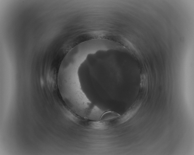 X0000113850238200909241254