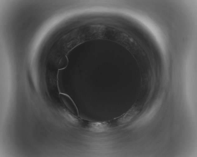 X0000113850239200909241254