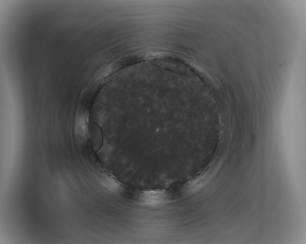 X0000113850240200909241254