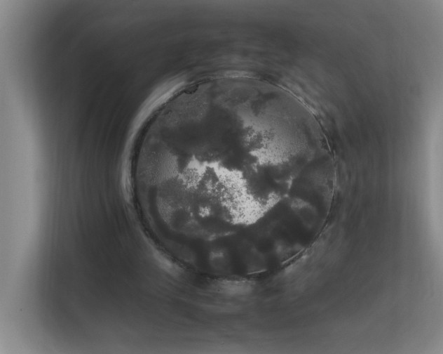 X0000113850245200909241253