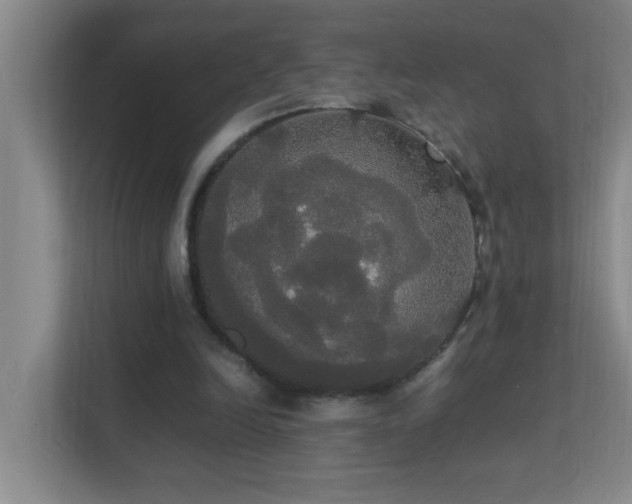 X0000113850246200909241253