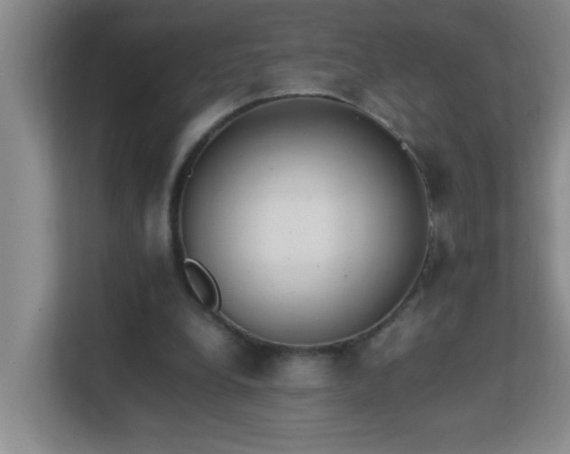 X0000113850248200909241253