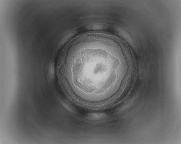 X0000113850251200909241253