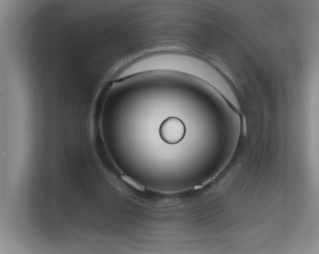 X0000113850252200909241253