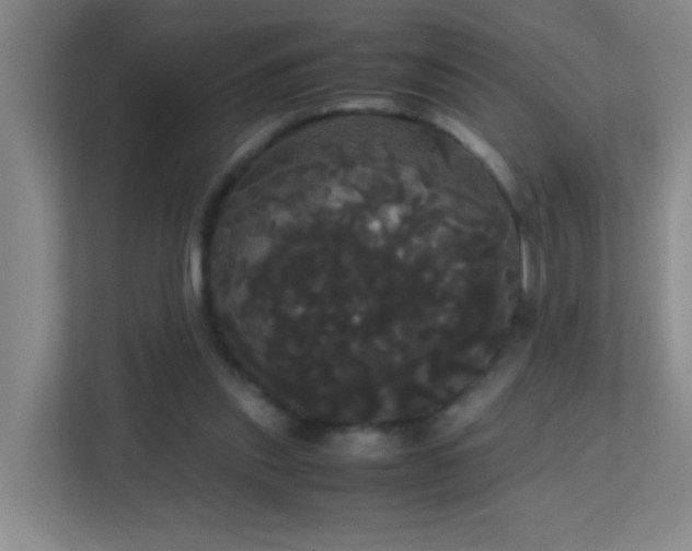 X0000113850253200909241253