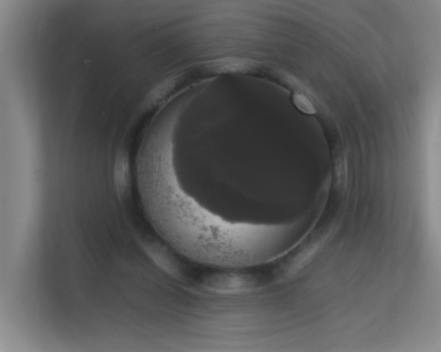 X0000113850254200909241253