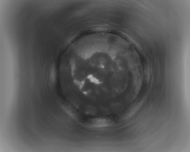 X0000113850255200909241253