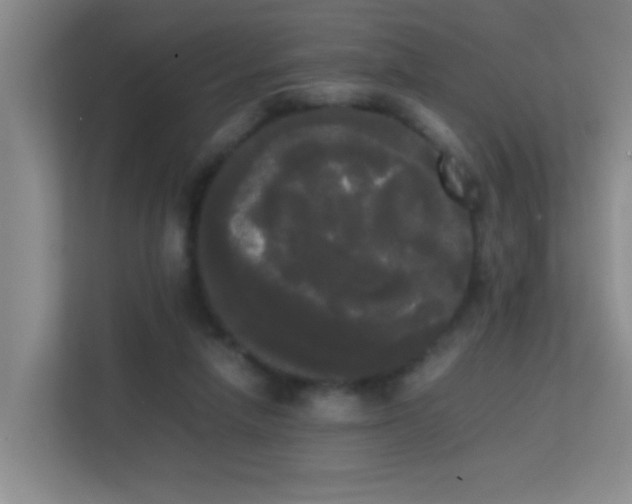 X0000113850258200909241253