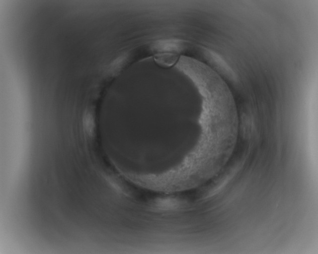 X0000113850259200909241253