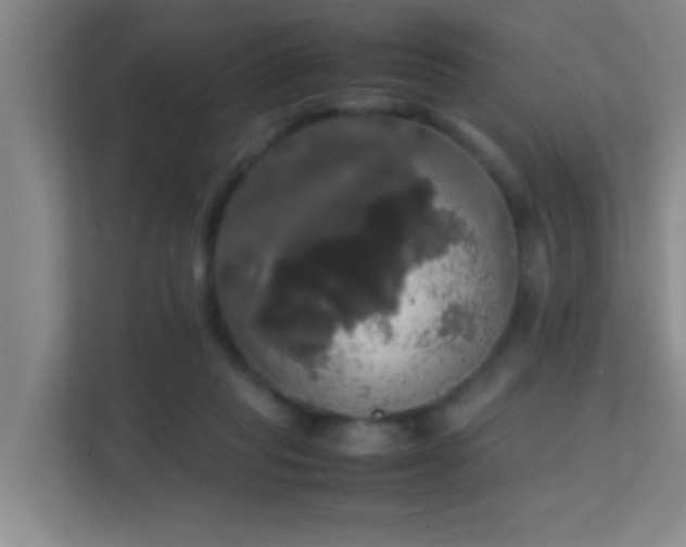 X0000113850261200909241253