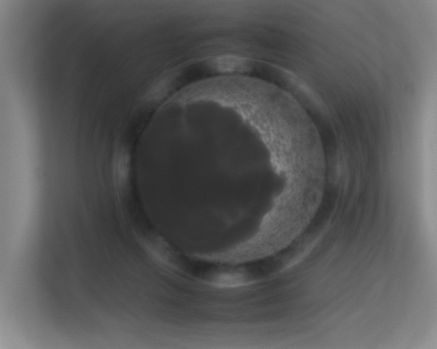 X0000113850263200909241253