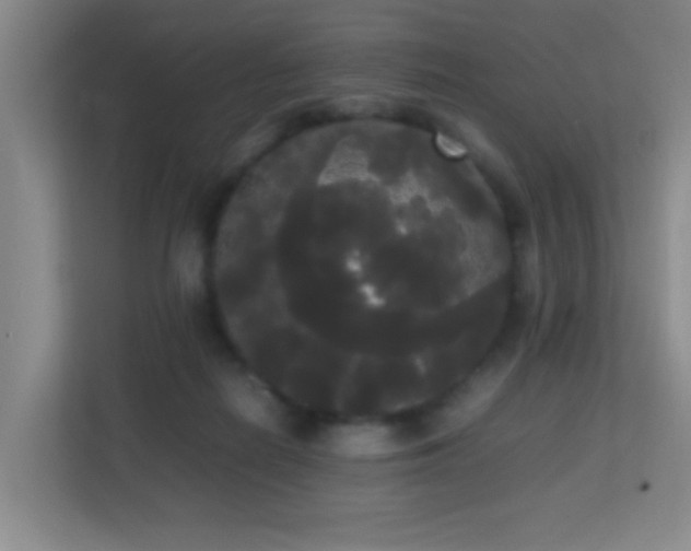 X0000113850266200909241253