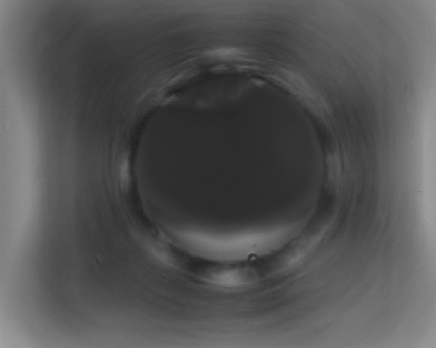 X0000113850267200909241253