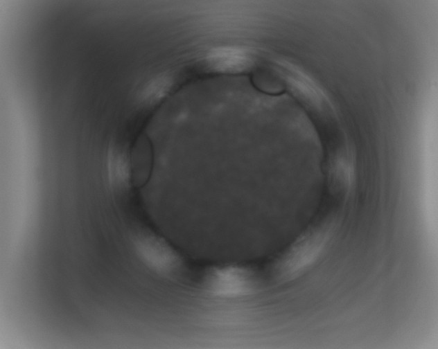 X0000113850268200909241253