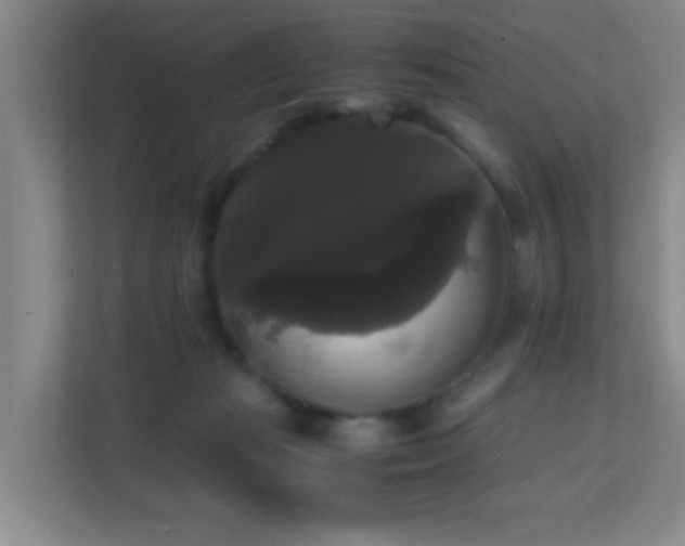 X0000113850269200909241253