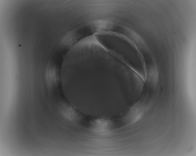 X0000113850272200909241253