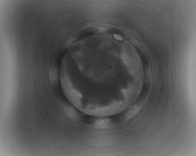 X0000113850274200909241253