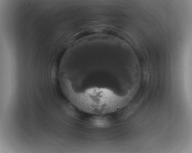 X0000113850275200909241254