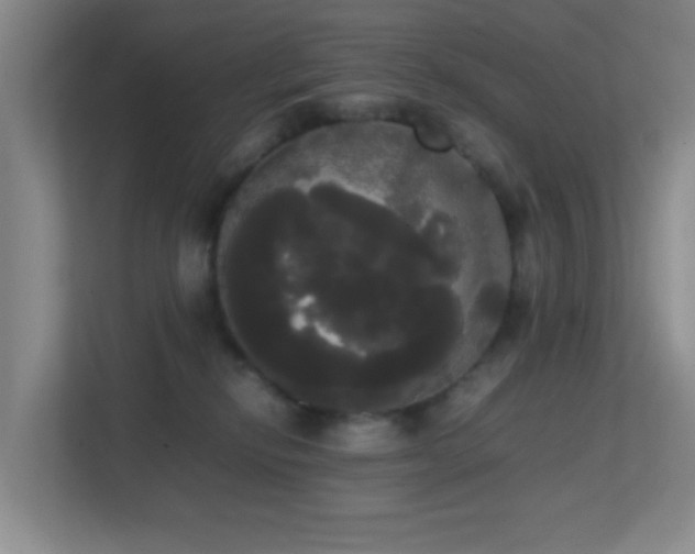 X0000113850278200909241254