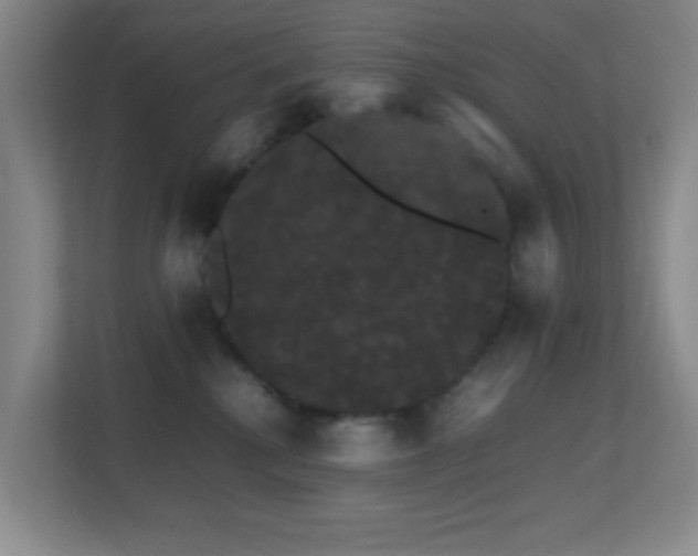 X0000113850280200909241254