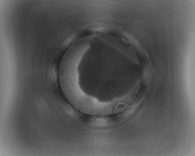 X0000113850282200909241254