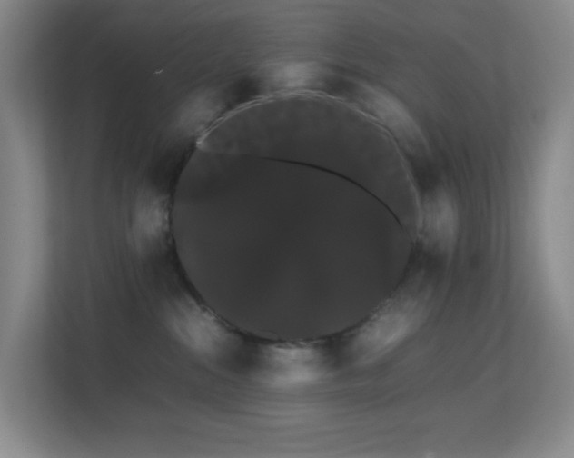 X0000113850284200909241254