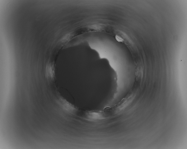 X0000113850285200909241254