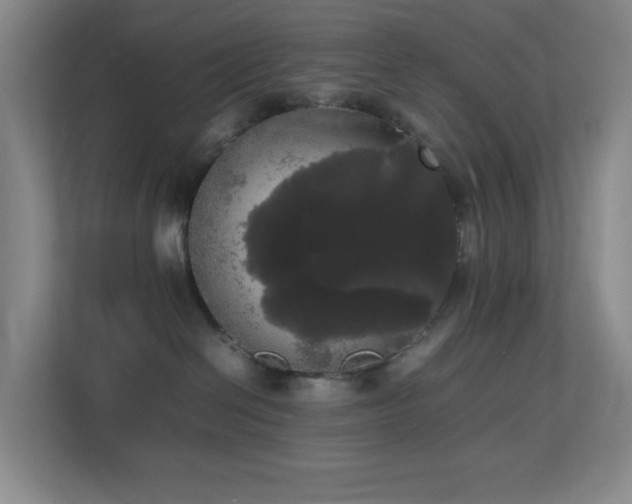 X0000113850286200909241254