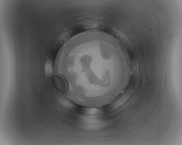 X0000113850287200909241254