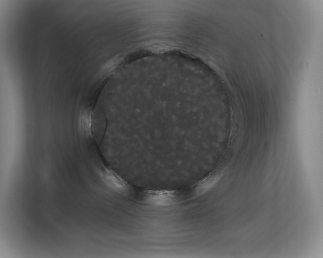 X0000113850288200909241254