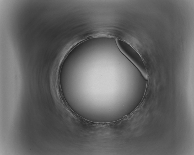 X0000113850289200909241253